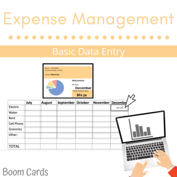 Preview of Expense Management/ Data Entry -BOOM CARDS