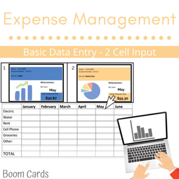 Preview of Expense Management/ Data Entry- Level 2 -BOOM CARDS