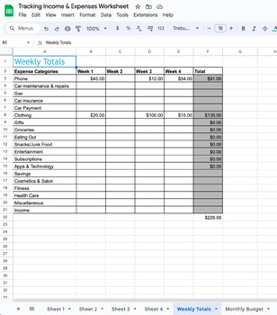 Preview of Expenses Tracking and Budget Worksheet