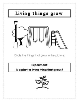Preview of Experiment: Is a plant a living thing that grows?