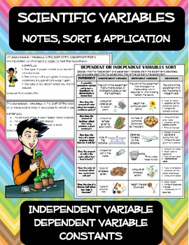 Experiment Variables Notes, Sort & Application: Independent, Dependent ...