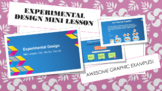 Experimental Design Mini Lesson Slides - PowerPoint, Googl