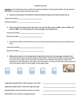 experimental design examples worksheet