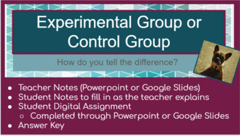 The Difference Between Control Group and Experimental Group