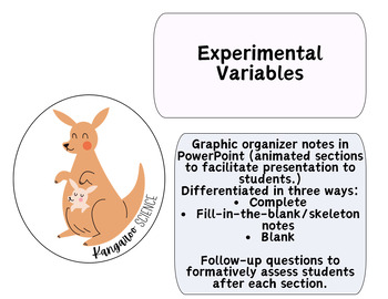 Preview of Experimental Variables Graphic Organizer Notes | PowerPoint | Differentiated