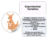 Experimental Variables Graphic Organizer Notes | PowerPoin