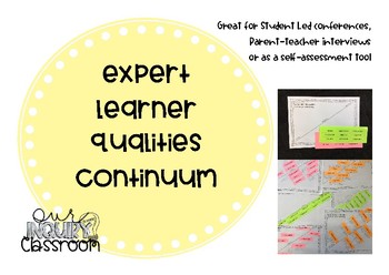 Preview of Expert Learner Qualities Continuum