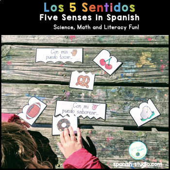 Preview of Five Senses in Spanish
