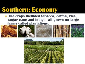13 Colonies-PowerPoint:Exploration SOUTHERN Colonies:economy,government