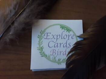 Preview of Exploration Cards: Birds