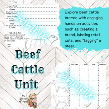 Preview of Exploratory Beef Cattle Unit