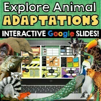 Preview of Explore Animal Adaptations - Interactive Google Slides!