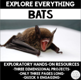 Explore Everything: Bats