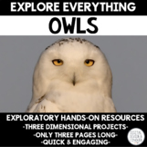 Explore Everything: Owls