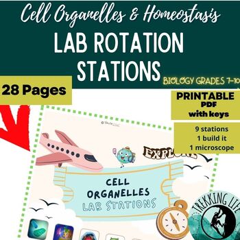 Preview of Explore It!-Cell Organelle Lab Rotation Stations #Bestsellers