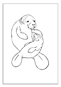 manatee coloring page