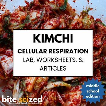 Preview of Explore Microbes, Cellular Respiration & Ecosystems through Kimchi Lab & Lesson