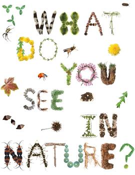 Preview of Explore Nature Poster - Outdoor Education - Nature Classroom