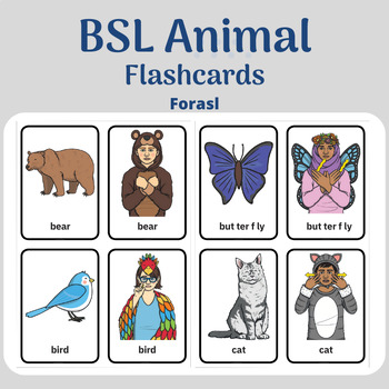 Preview of Explore the World of Animals with BSL Animal Flashcards 36 cards