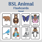 Explore the World of Animals with BSL Animal Flashcards 36 cards