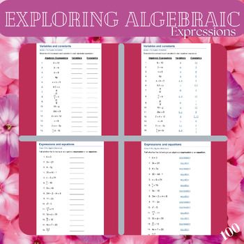 Preview of Exploring Algebraic Expressions: Grade 6-7 Math Worksheets