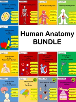 Preview of Exploring Anatomy BUNDLE