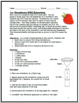 strawberry dna extraction lab report hypothesis