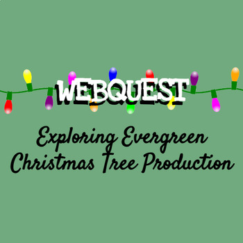 Preview of Exploring Evergreen Christmas Tree Production Webquest