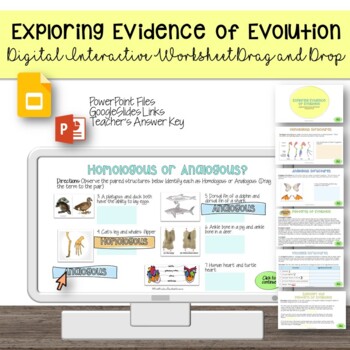 Preview of Exploring Evidence of Evolution - Digital Interactive Worksheet [GoogleSlides]