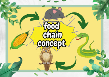 Exploring Food Chains: Understanding How Living Things Interact 