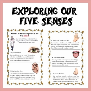 Preview of Exploring Our Five Senses