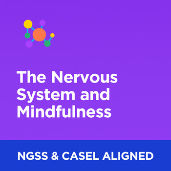 Preview of The Nervous System and Mindfulness