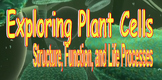 Exploring Plant Cells: Structure, Function, and Life Processes