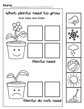 Exploring Plants l Plant Life Cycle l Activity Work Sheet by SHALL WE
