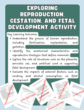 Preview of Exploring Reproduction, Gestation, and Fetal Development Activity