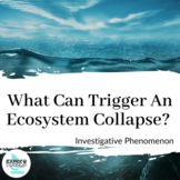 Exploring The Kelp Forest Ecosystem Collapse Investigative