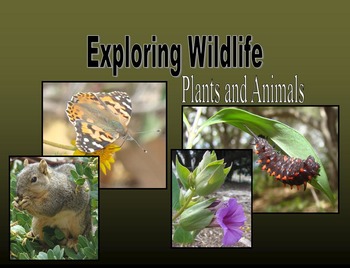 Preview of Nonfiction Book & PowerPoint - Exploring Plants and Animals