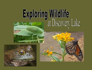 Preview of Nonfiction Book & PowerPoint - Exploring Wildlife at Discovery Lake