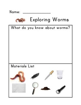 Preview of Exploring Worms Science Lab