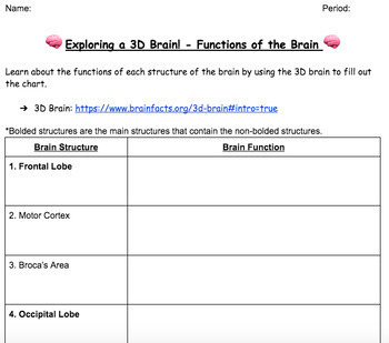 Preview of Exploring a 3D Brain! Functions of the Brain