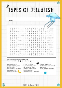 Preview of Exploring the Fascinating World of Jellyfish: Types of Jellyfish Worksheet