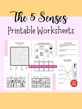 Preview of Exploring the Five Senses Worksheet Set with Answer Key