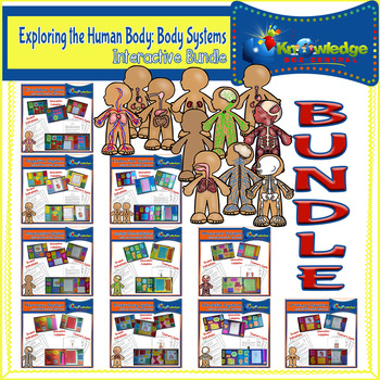 Preview of Exploring the Human Body: Body Systems Lapbook / Interactive Notebook BUNDLE
