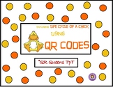 The Life Cycle of a Chicken using QR Codes Listening Center