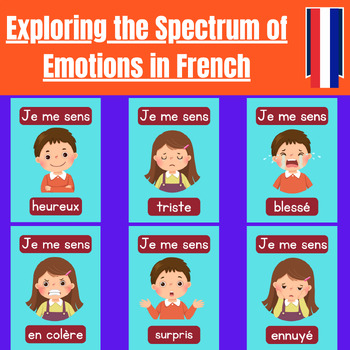 Exploring the Spectrum of Emotions in French by Saadia Emporium | TPT