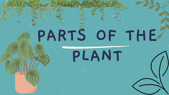 Preview of Exploring the Wonders of Plants: Parts of the Plant Learning Kit