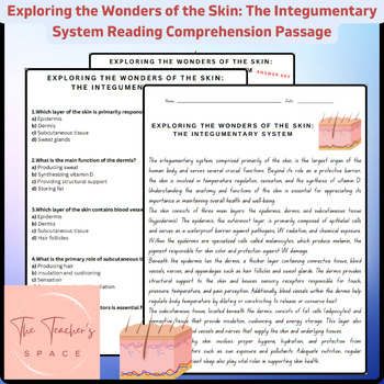 Preview of Exploring the Wonders of the Skin: The Integumentary System Reading Passage