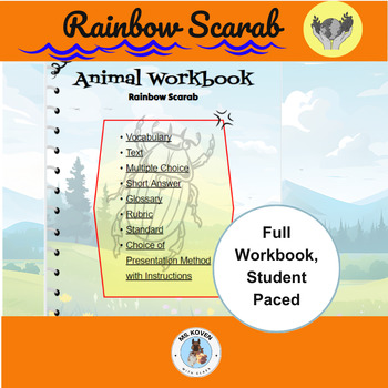 Preview of Exploring the World of Rainbow Scarabs: Interactive, Self Paced