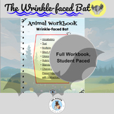 The Wrinkle-Faced Bat: An Adventurous Lesson, Student Pace