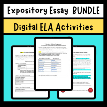 Preview of Expository Essay Activity BUNDLE - Informative Essay Writing